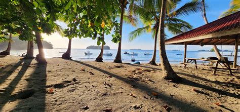 panama sport fishing lodge|fish panama today.